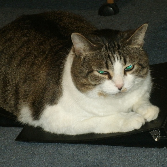 Hello everyone! I'm Kirin! - Picture 7 of 13